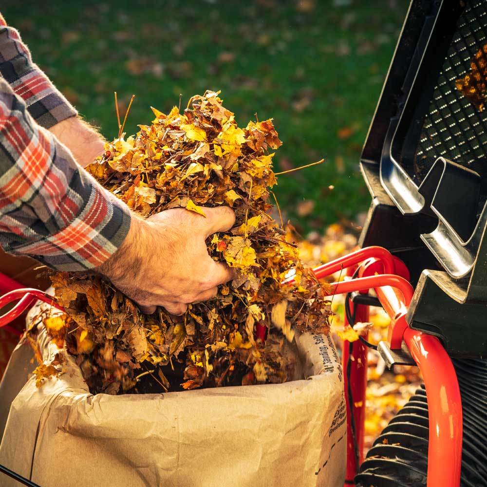 DR Power PILOT XTSP (Direct Bagging)