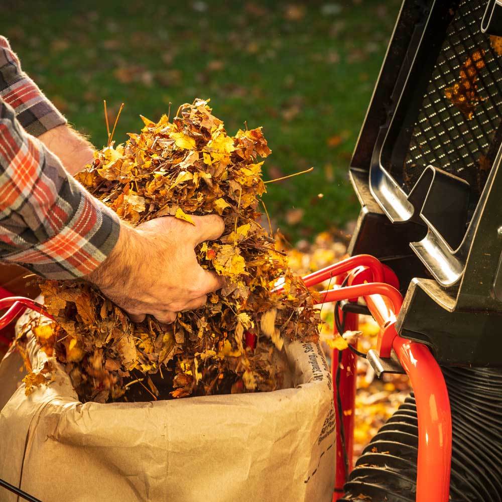 DR Power PILOT XT (Direct Bagging) DR Power PILOT XT (Direct Bagging)