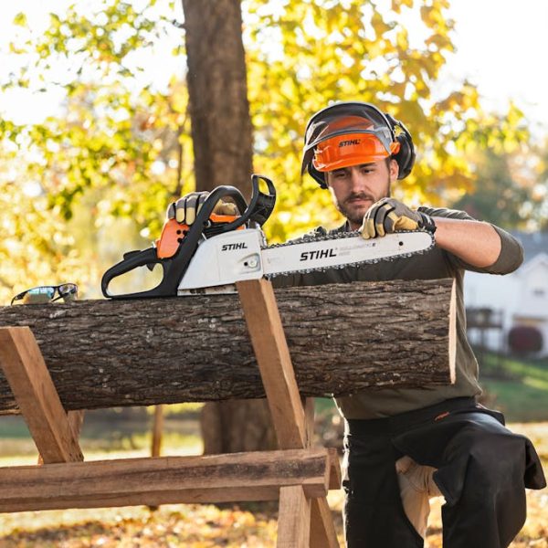 STIHL MS 171