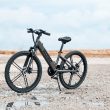 Rambo Bikes Kid's 24" Chameleon